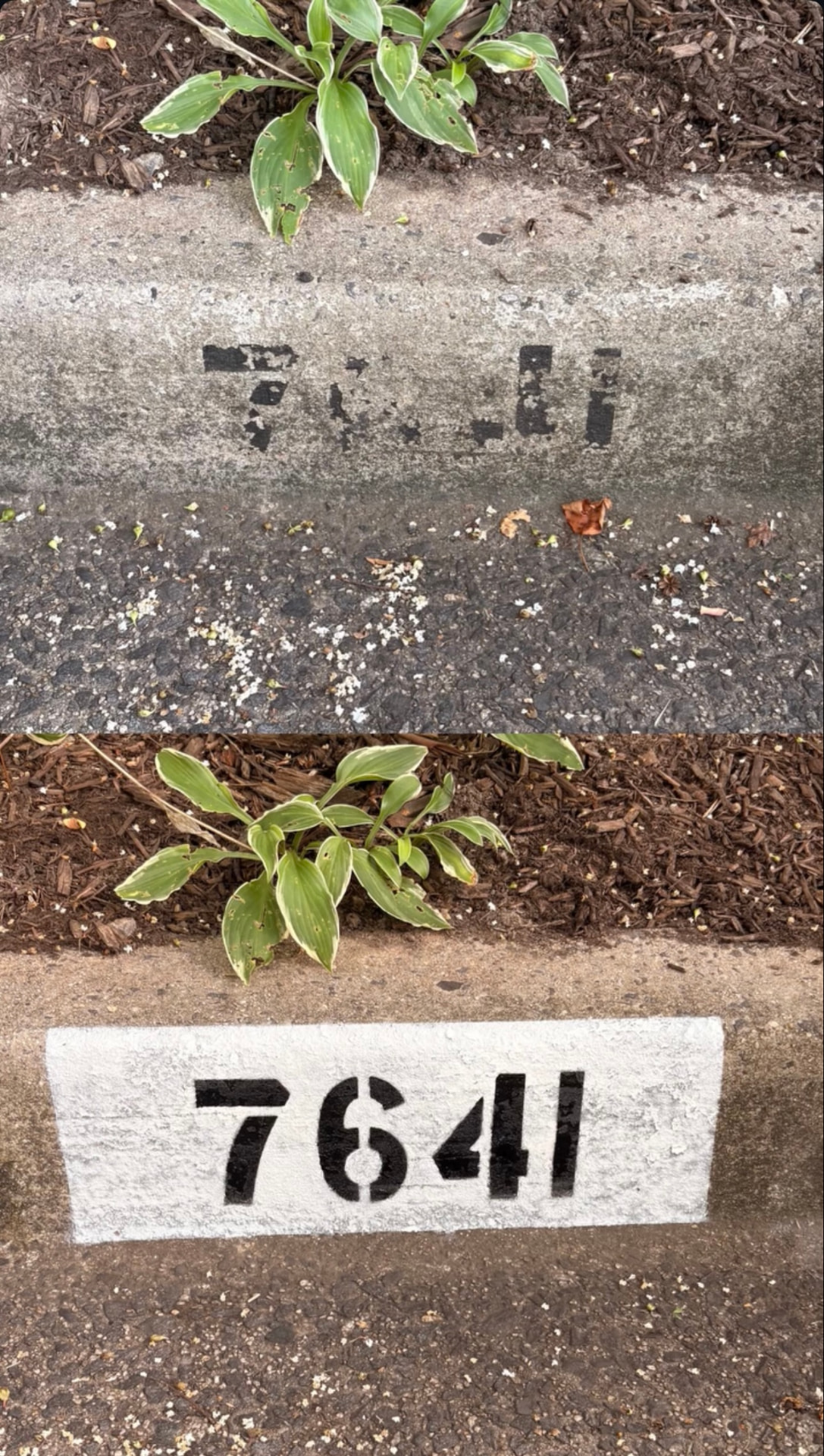Curb number 7641 shown worn above and freshly stenciled below